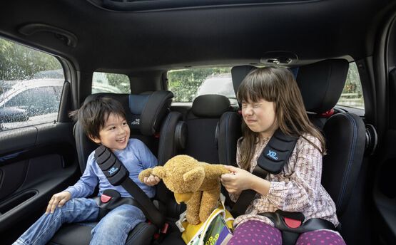 Cómo sobrevivir a un viaje en coche con niños: las mejores ideas y los  productos más recomendados por los redactores de BAZAR