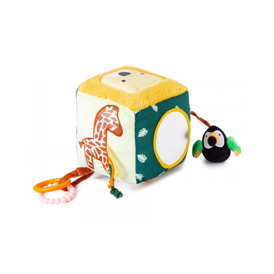 Cubo de Actividades