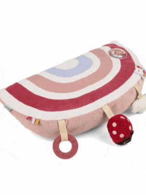 Cojin de actividades